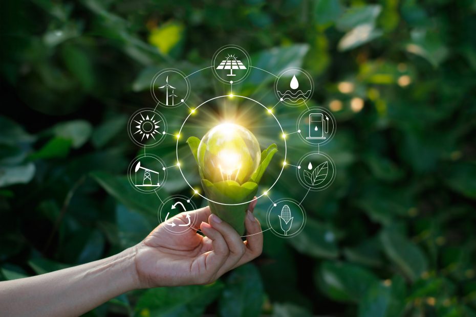 Empreendedorismo sustentável 11 Empreendedorismo sustentável
